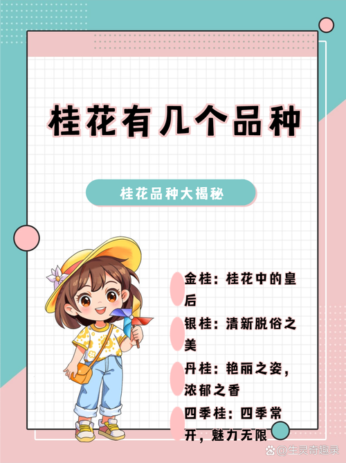 桂花究竟有多少品种？-图2