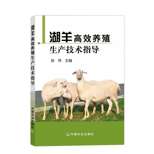 湖羊养殖光盘如何防治疾病?-图1 湖羊养殖光盘如何防治疾病?-图1