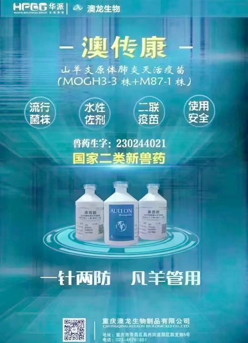 湖羊养殖光盘如何防治疾病?-图2 湖羊养殖光盘如何防治疾病?-图2