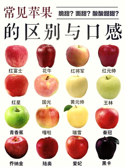 苹果品种名称大全图片-图1