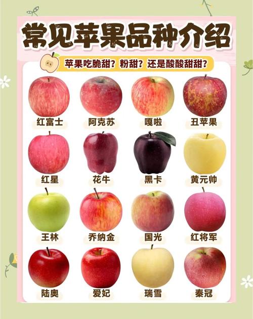 苹果品种名称大全图片-图2
