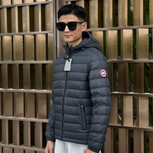 2025年大鹅最新价格多少钱一斤?-图1 2025年大鹅最新价格多少钱一斤?-图1