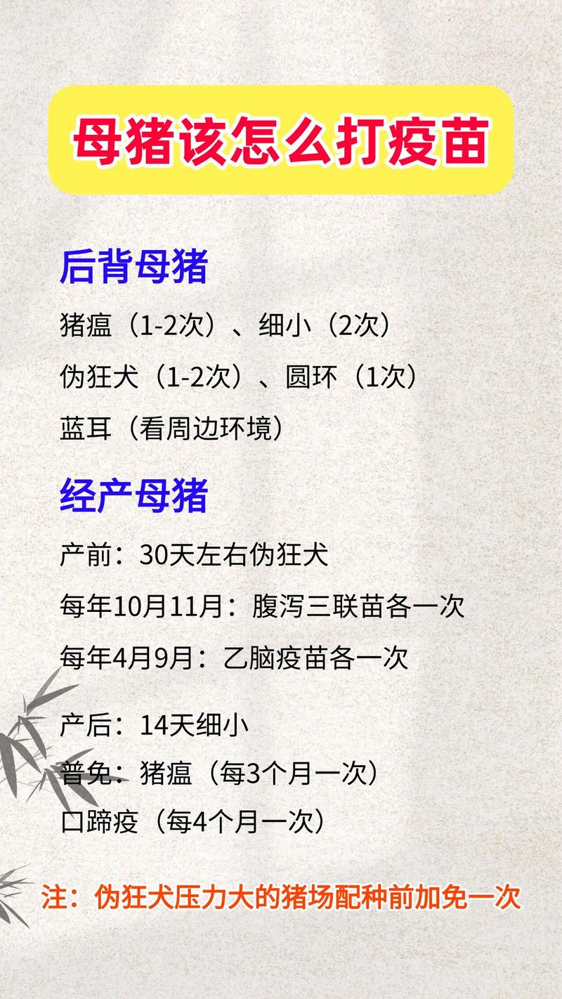 养猪技术教程大全母猪-图1