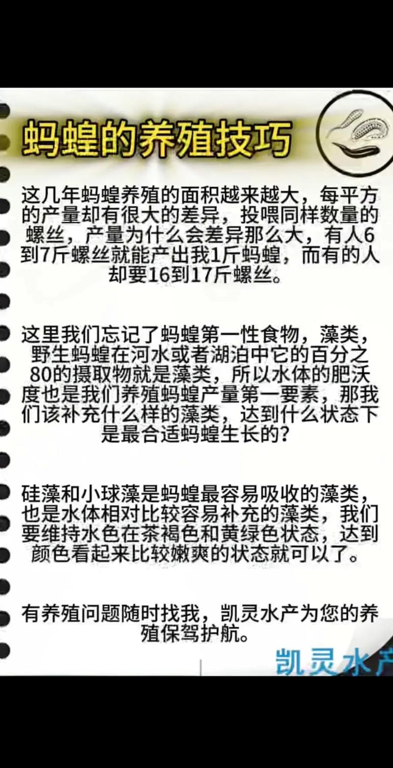 水蛭养殖技术在线阅读,如何快速掌握?-图1 水蛭养殖技术在线阅读,如何快速掌握?-图1
