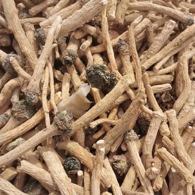 板蓝根价格未来会涨还是跌？-图3