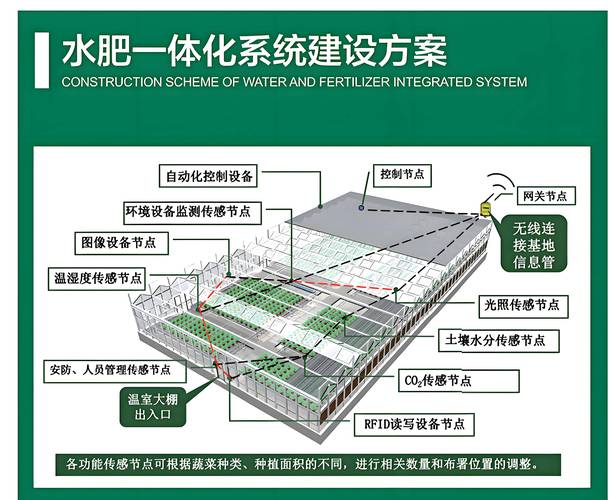 温室西瓜水肥管理技术要点有哪些？-图3