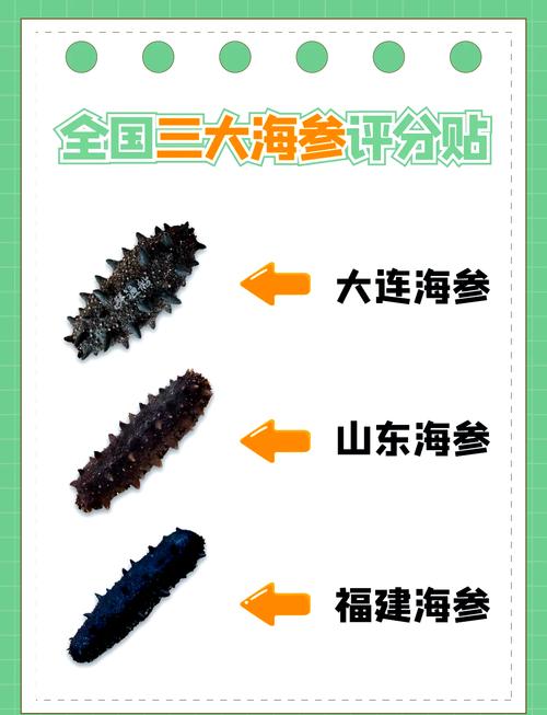 2025威海海参价格会涨还是跌？-图2