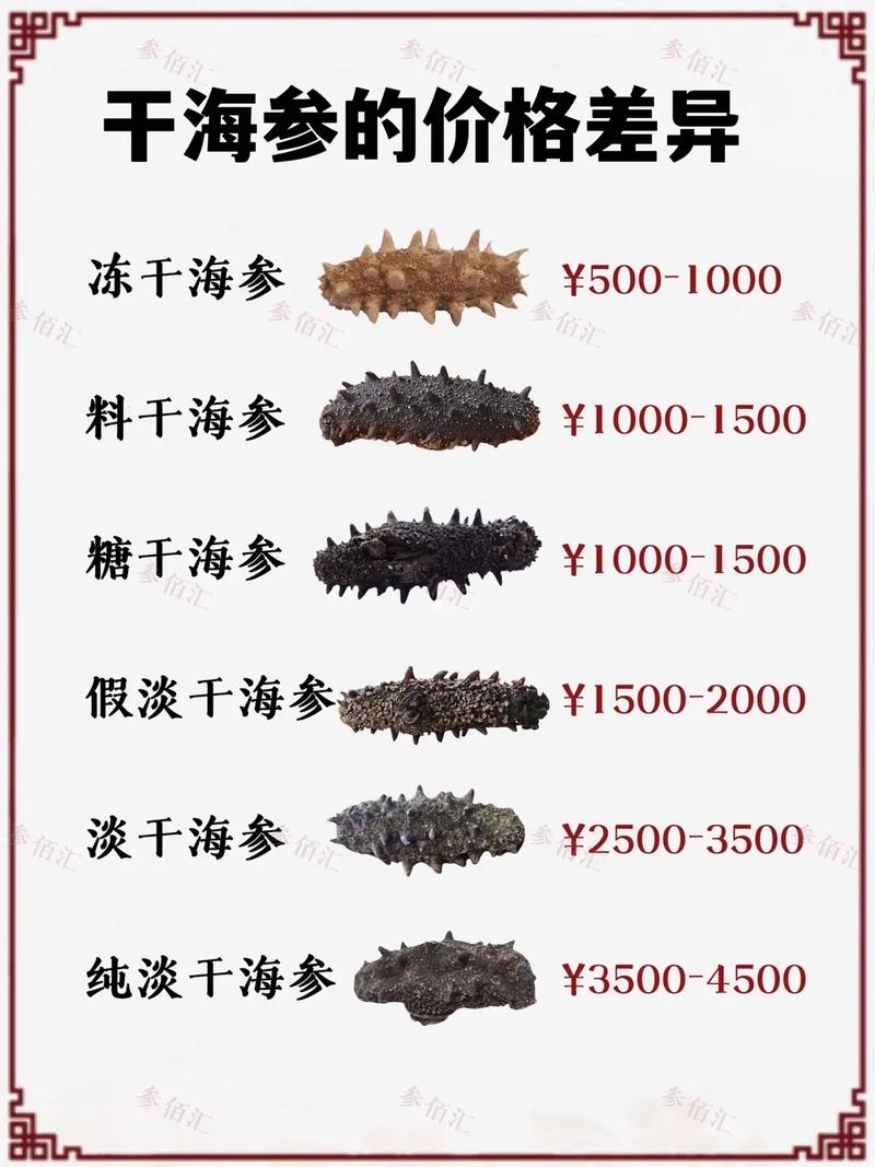 虾饲料、海参价格与马尾有何关联?-图1 虾饲料、海参价格与马尾有何关联?-图1