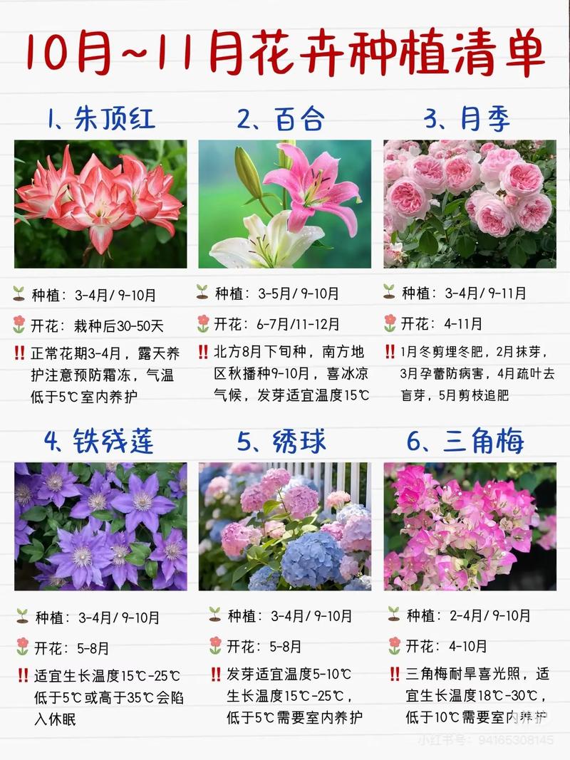 什么花品种最多?附图片?-图3 什么花品种最多?附图片?-图3