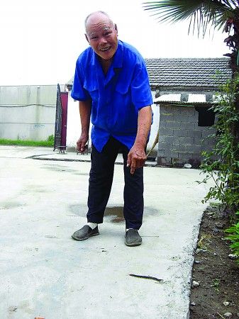 野生红头蜈蚣回收价格-图2