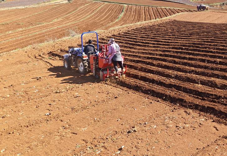 红薯机械种植视频，如何高效操作？-图1