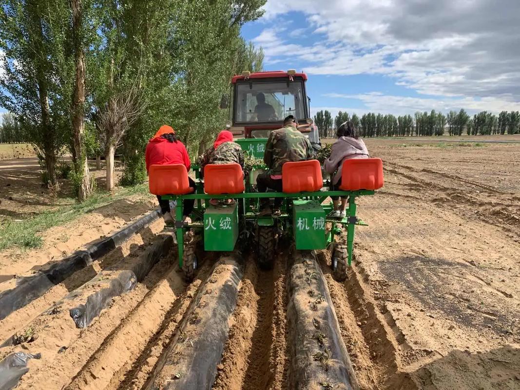 红薯机械种植视频，如何高效操作？-图3