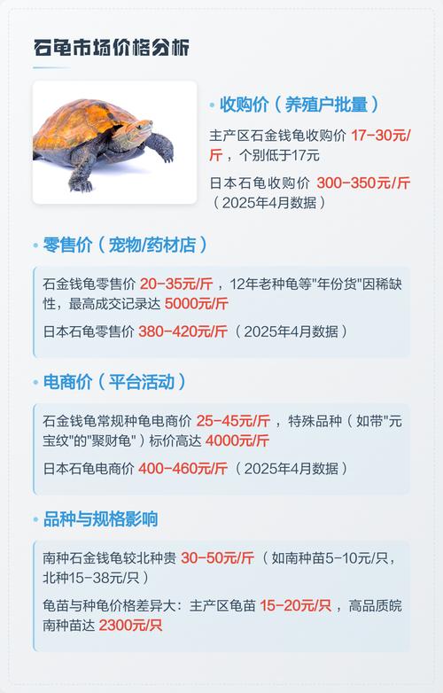 2025南宁石龟价格会涨还是跌？-图1
