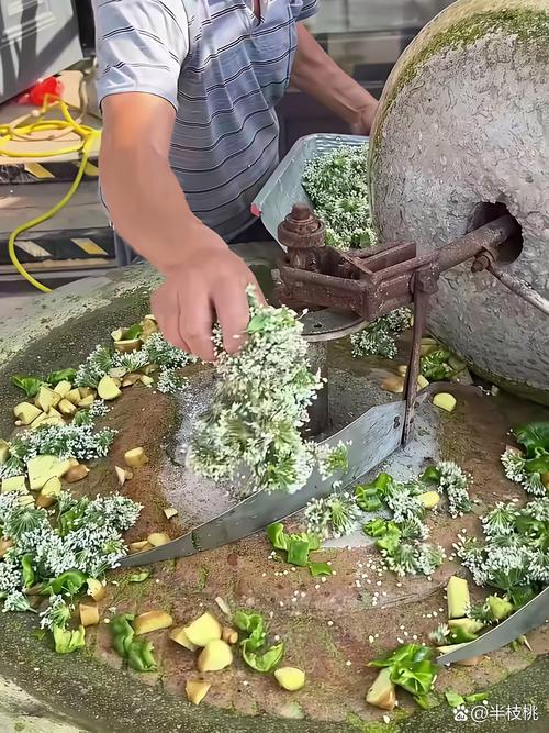 苦瓜红薯怎么套种?技术要点有哪些?-图2 苦瓜红薯怎么套种?技术要点有哪些?-图2