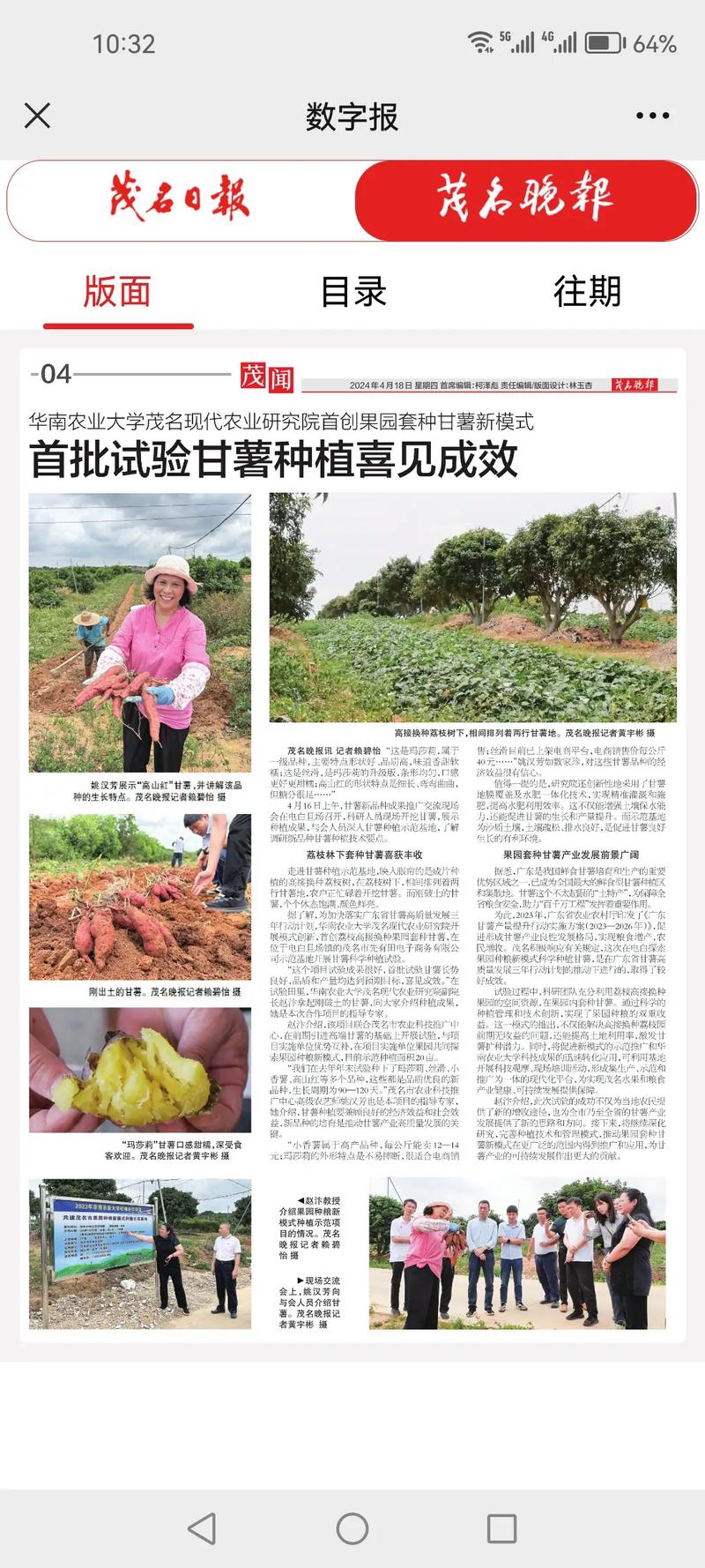 苦瓜红薯怎么套种？技术要点有哪些？-图3