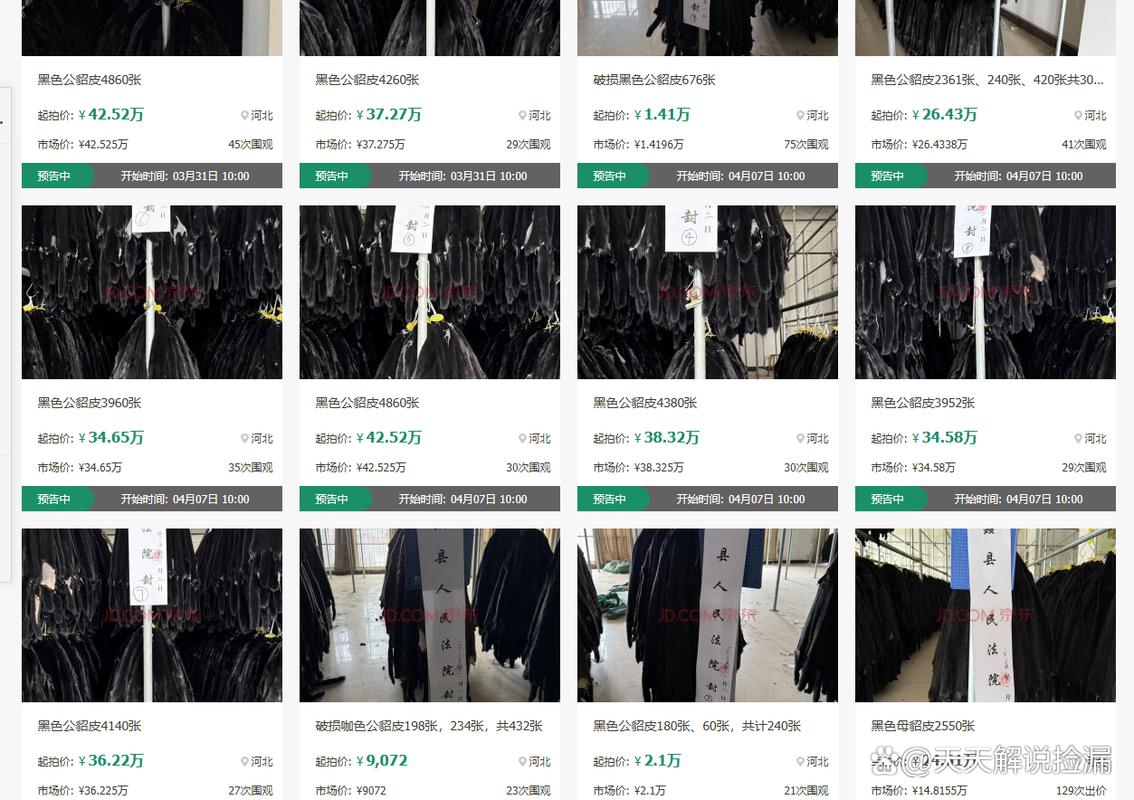 貂皮最新行情价格如何？-图1