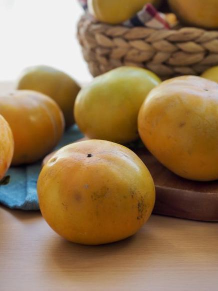 韩国柿子品种有哪些？-图3