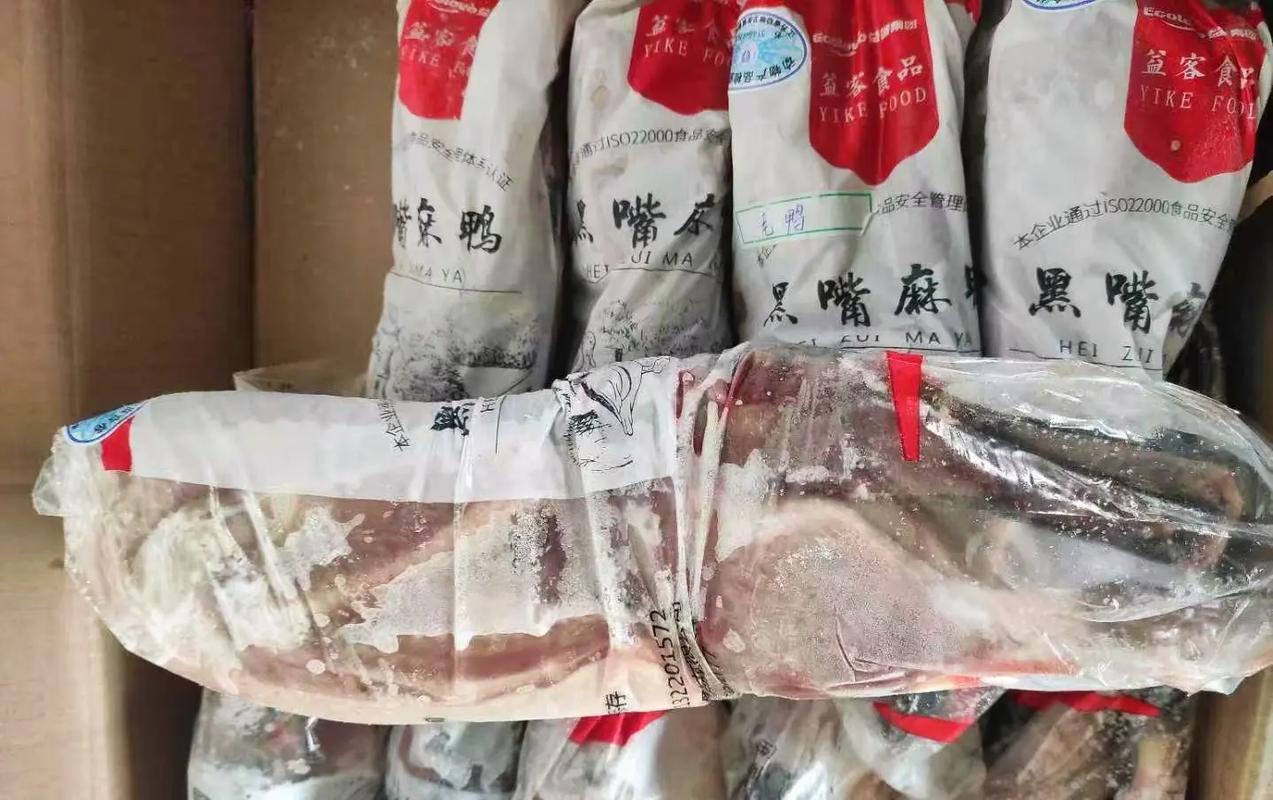 黑嘴鸭有哪些常见品种?-图2 黑嘴鸭有哪些常见品种?-图2