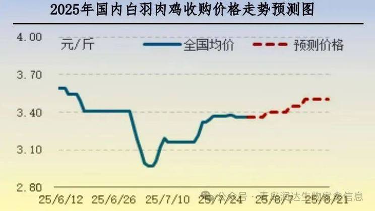 2025鸡肉价格会涨还是会跌？-图3