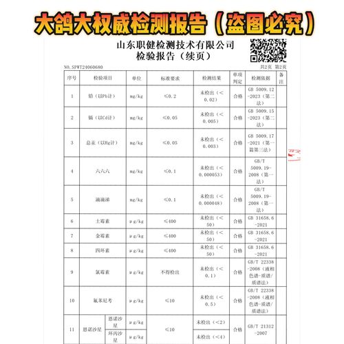 蛋鸽养殖选什么品种最合适？-图2