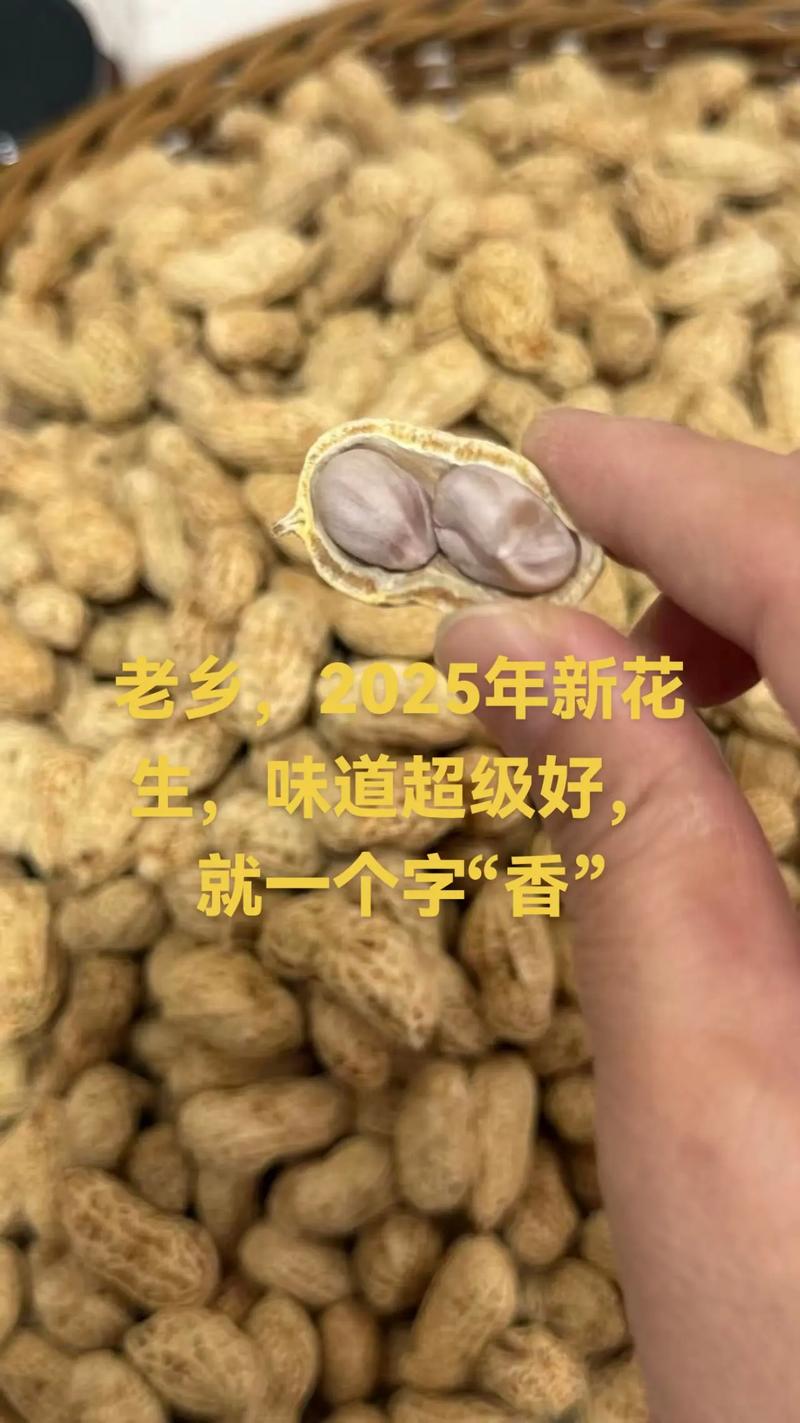 2025年熟花生价格会涨还是跌？-图2