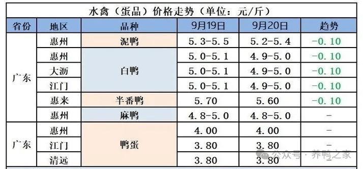 2025广西蛋鸭价格会涨还是跌？-图1