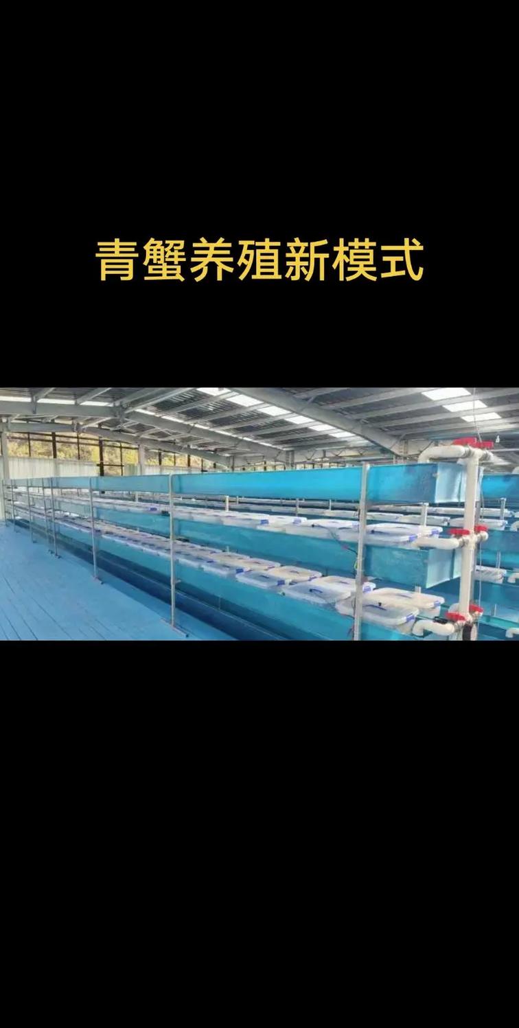 螃蟹养殖技术如何培训-图2