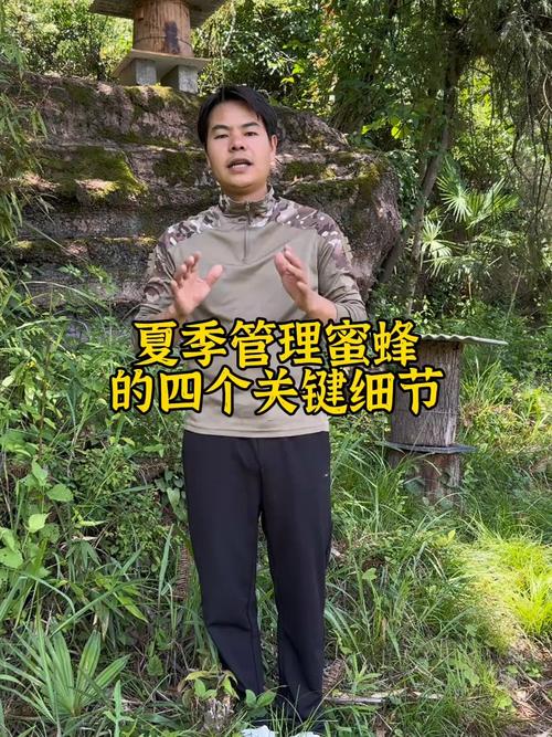 开封夏季蜜蜂咋管理？-图3