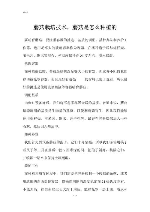 蘑菇种植技术要点有哪些？-图2