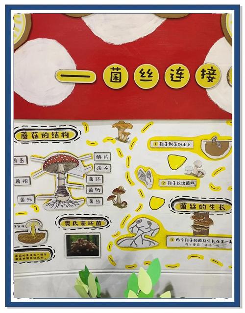 蘑菇种植技术要点有哪些？-图3