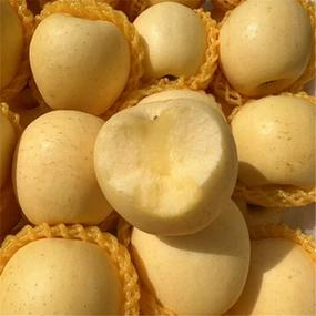 黄皮苹果是哪个品种？-图2