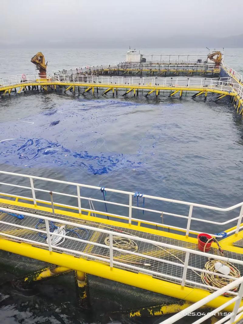 深海网箱养殖技术现状如何？-图3