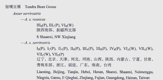 大雁杂交品种有哪些？-图1