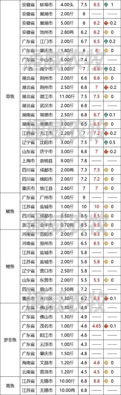 重庆水产市场泥鳅价格多少钱一斤？-图2