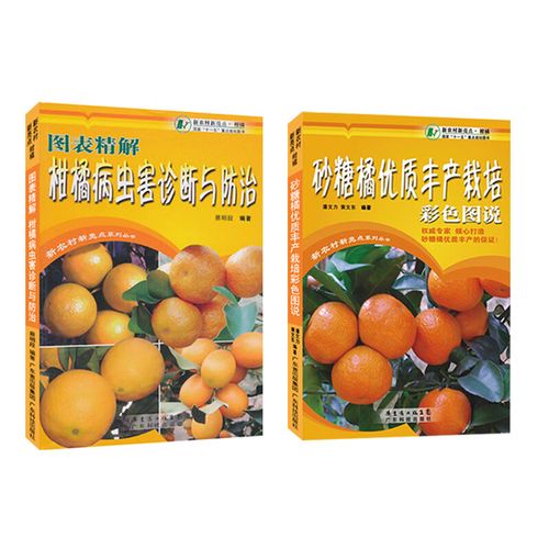 桔子丰产栽培管理技术-图3