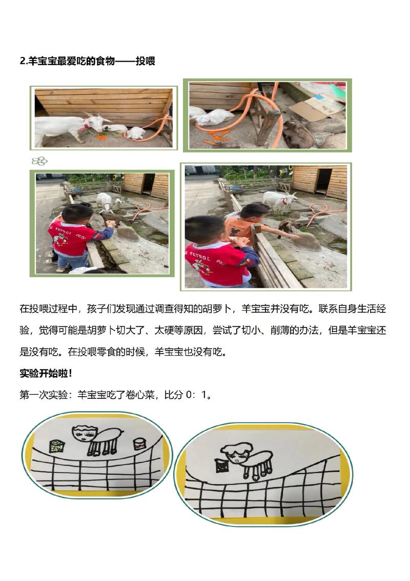 品种羊保护计划有哪些具体措施？-图2