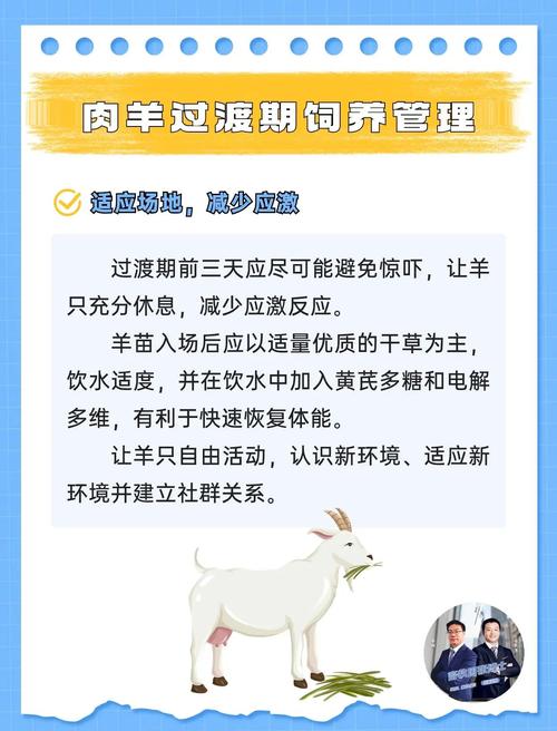 品种羊保护计划有哪些具体措施？-图1