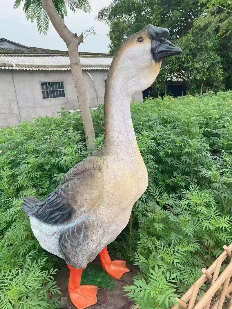 鹅品种哪个长得最快？-图2