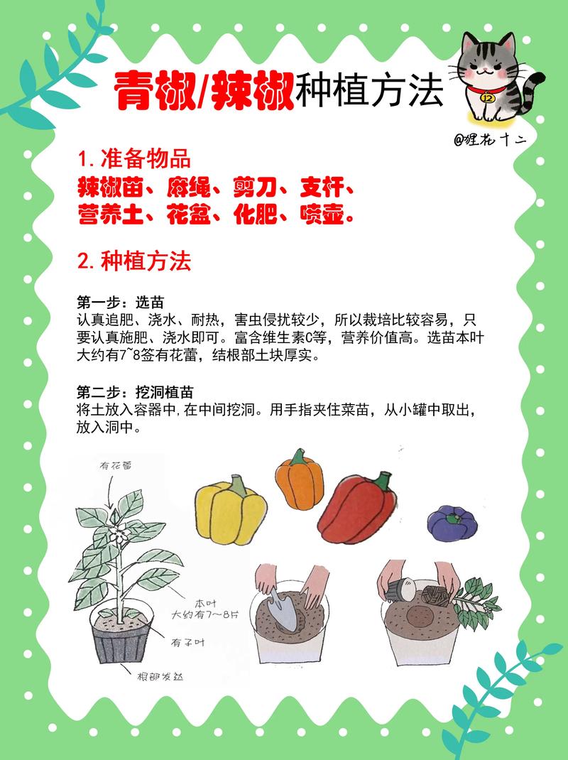 辣椒冬天怎么种植技术-图1