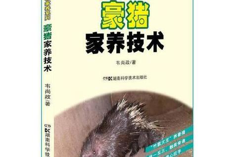 中华豪猪养殖技术书籍有哪些要点？-图1