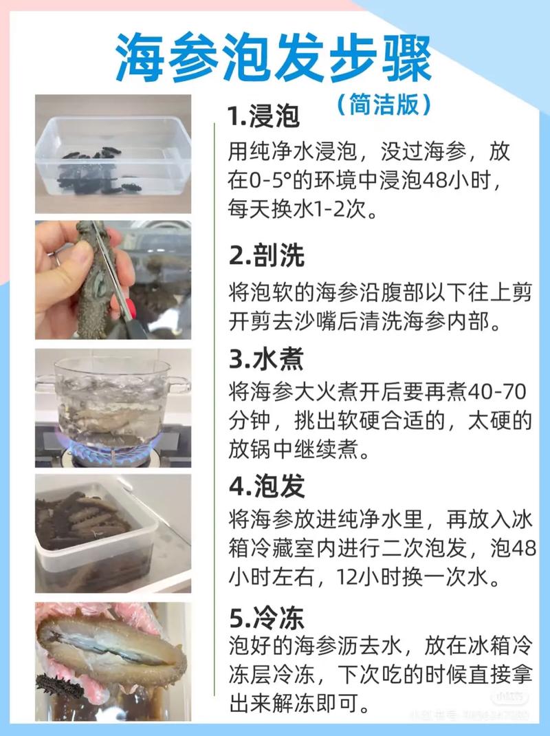 海参过冬病害咋防控？-图2