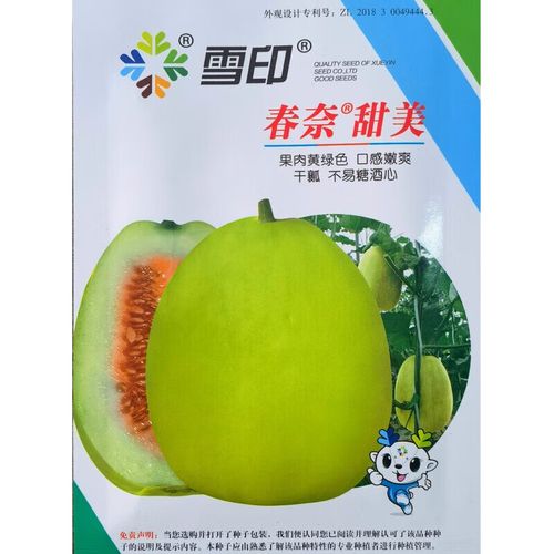 露地种香瓜籽，什么品种好？-图1