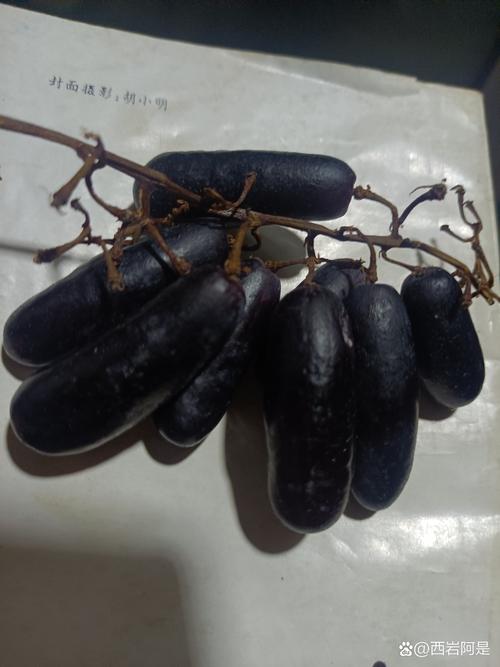 黑色长葡萄是何品种？-图1
