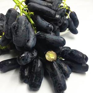 黑色长葡萄是何品种？-图3