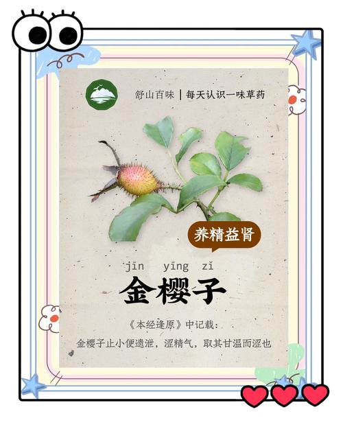 金樱子种植技术如何影响产量?-图3 金樱子种植技术如何影响产量?-图3