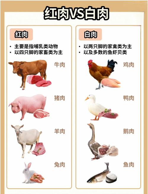 食用肉品种多样,如何欣赏辨别?-图1 食用肉品种多样,如何欣赏辨别?-图1