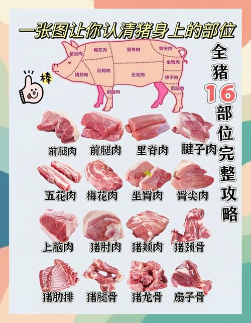 食用肉品种多样,如何欣赏辨别?-图3 食用肉品种多样,如何欣赏辨别?-图3