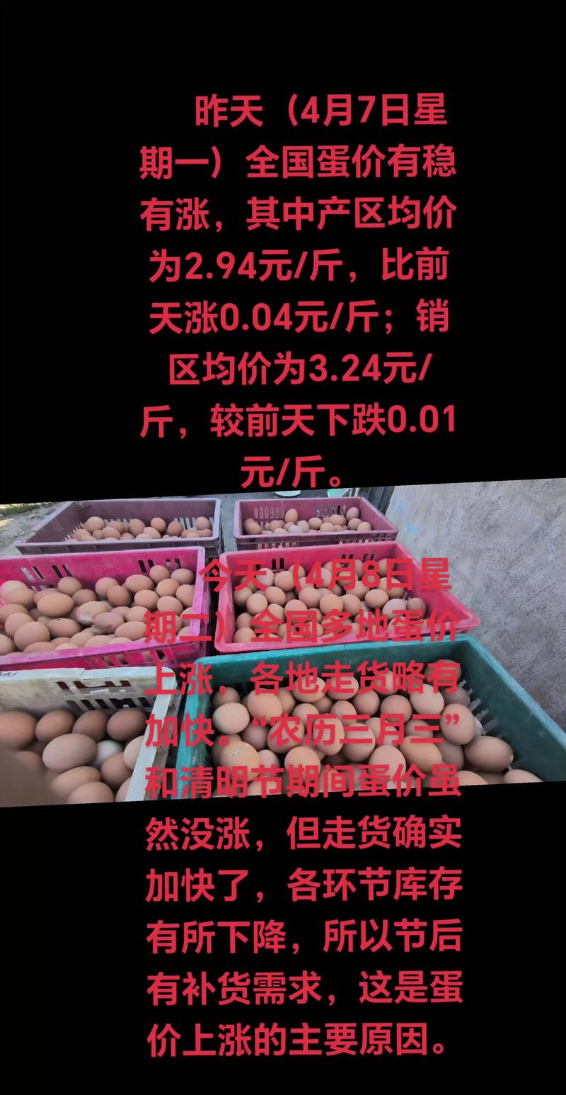 招远鸡蛋价格今日多少钱一斤？-图3