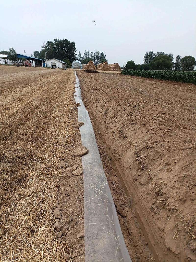 蚯蚓高效养殖技术视频如何快速上手？-图3