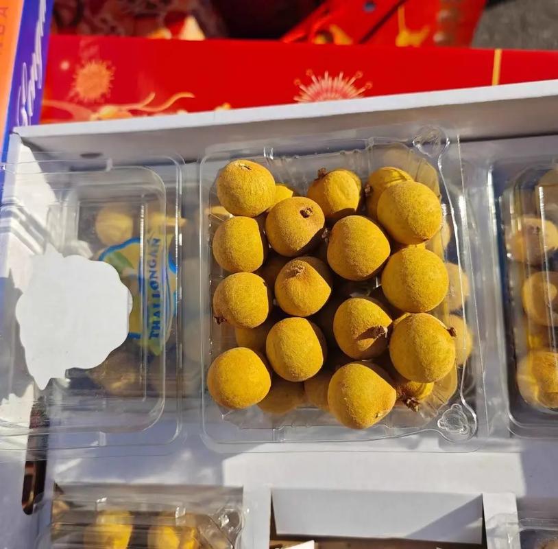 龙眼核最小品种是哪个?-图1 龙眼核最小品种是哪个?-图1